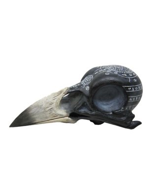 "Mystical Arts Crow Skull"