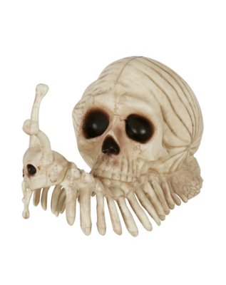 "Skeleton Skull Snail"