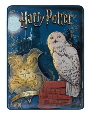 "Harry Potter Magical World Fleece Blanket"