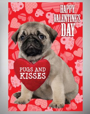 Pugs and Kisses Valentines Day Card - Spencer's