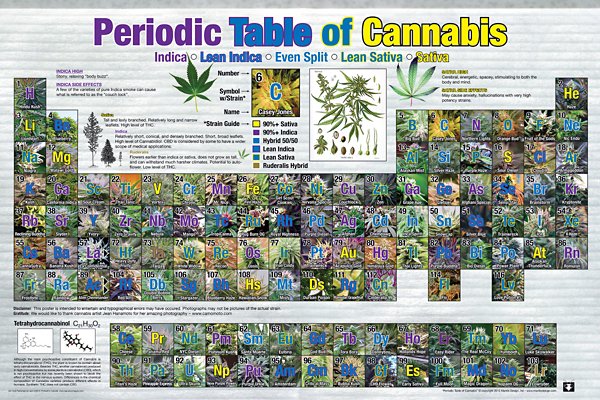 "Periodic Table of Cannabis Poster"