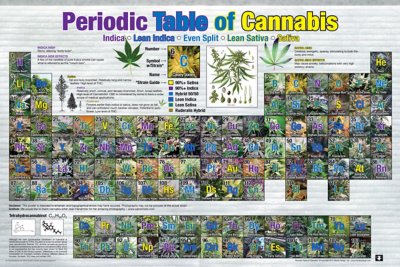 Periodic Table of Cannabis Poster