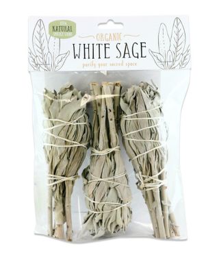 Mini Sage - 3 Pack