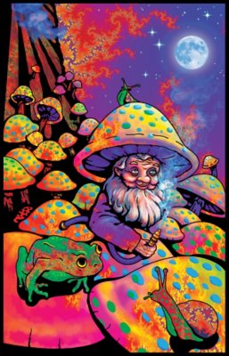 "Black Light Mushroom Man Poster"