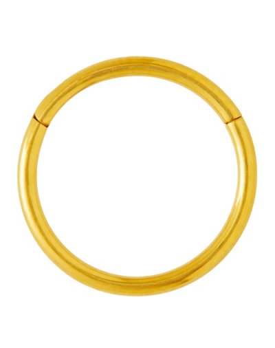 Goldtone Hinged Hoop Nose Ring - 20 Gauge