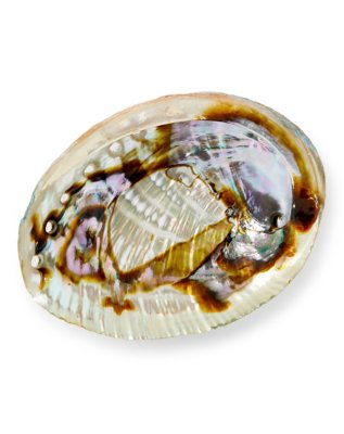 "Abalone Shell Smudge Bowl"