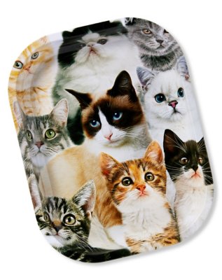 "Cat Collage Tray"