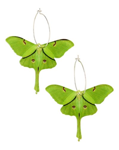 Green Luna Moth Dangle Hoop Earrings