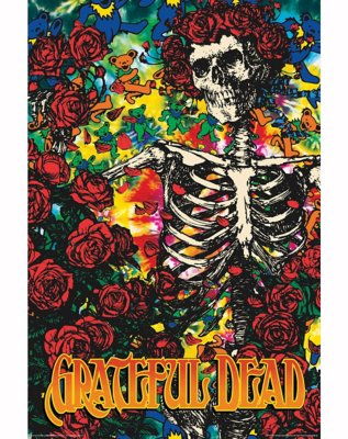 "Grateful Dead Skeleton Poster"