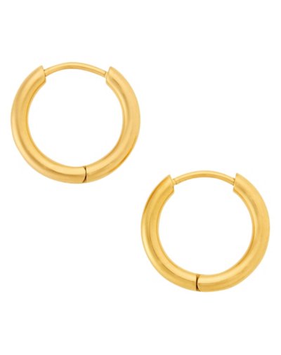 Goldtone Titanium Hoop Earrings