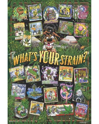 "What's Your Strain Poster"