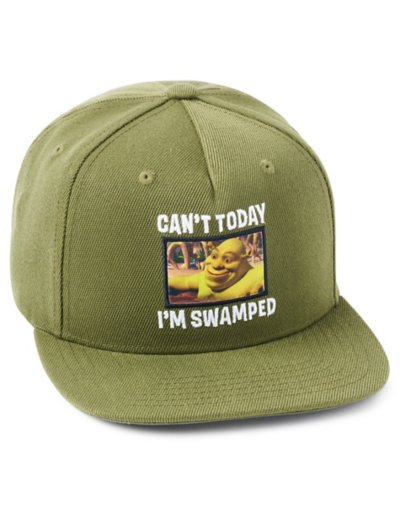 I'm Swamped Meme Snapback Hat - Shrek