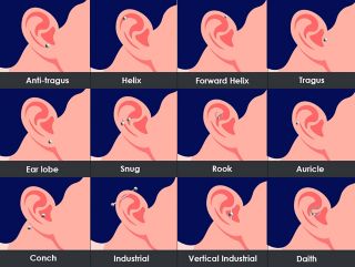 Ear and Nose Piercing Chart - A Visual Guide of what to expect