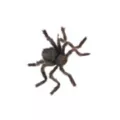 20 Inch Hairy Spider at Spirit Halloween