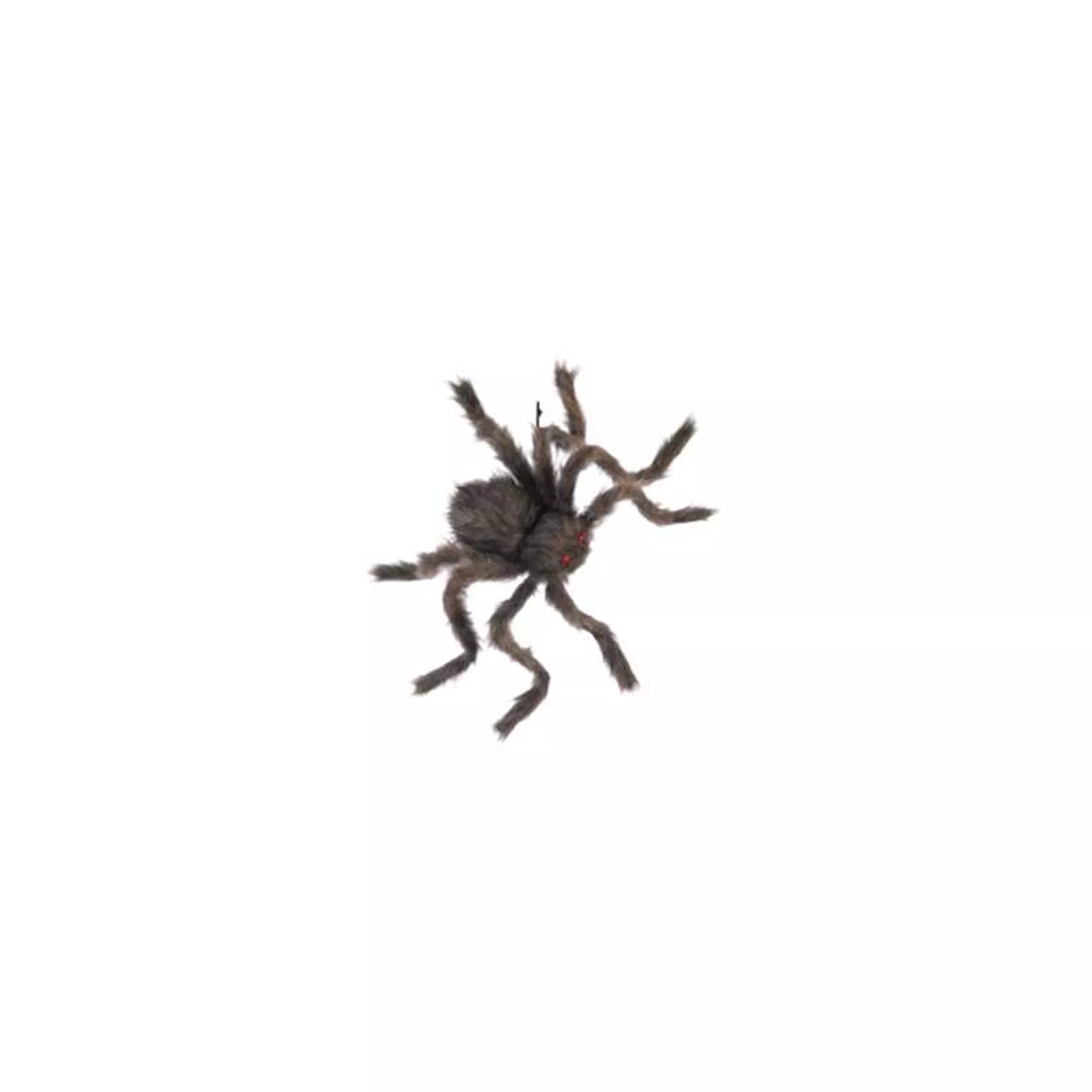 20 Inch Hairy Spider at Spirit Halloween