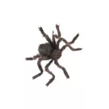20 Inch Hairy Spider at Spirit Halloween