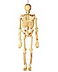 5 Ft Realistic Skeleton - Decorations