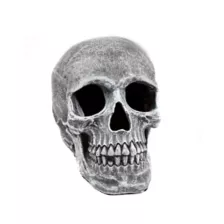 Large Realistic Skull Prop at Spirit Halloween