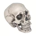 Vinyl Skull at Spirit Halloween
