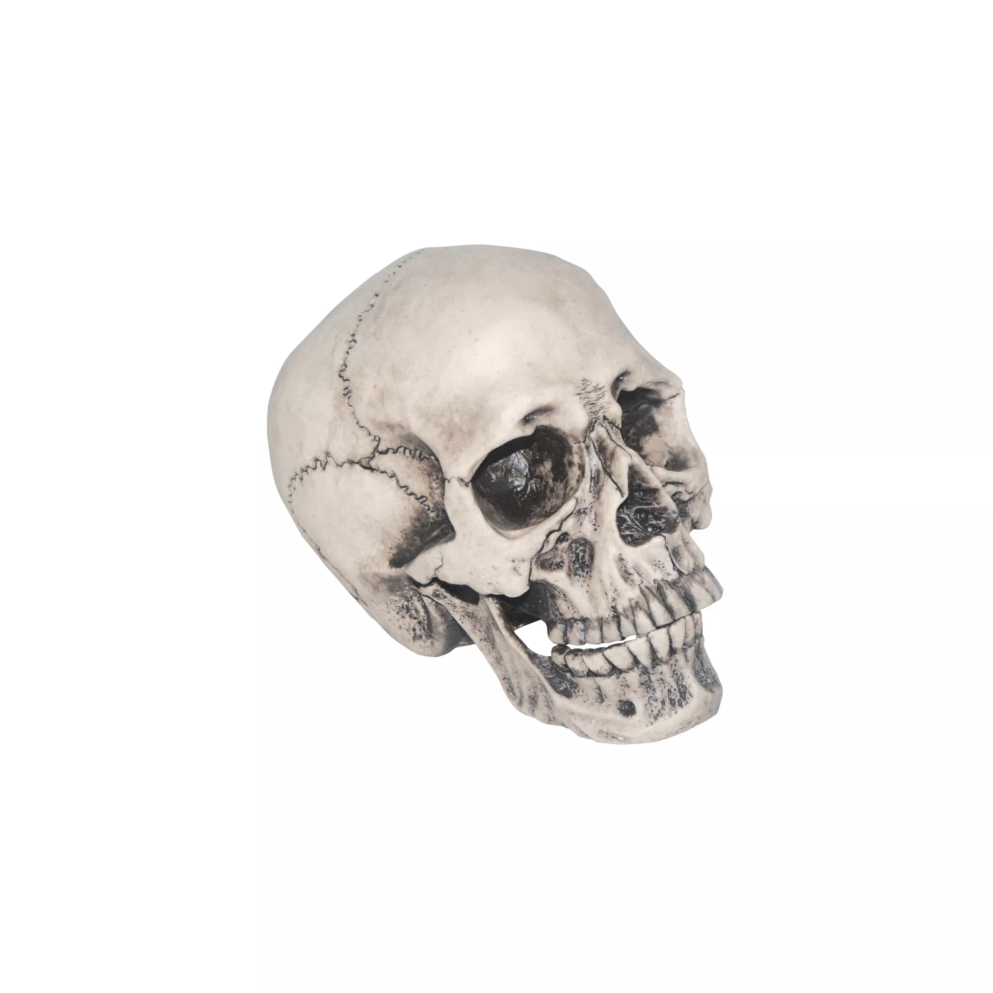 Vinyl Skull at Spirit Halloween