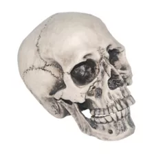Vinyl Skull at Spirit Halloween