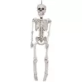 20 In Plastic Skeleton at Spencer's
