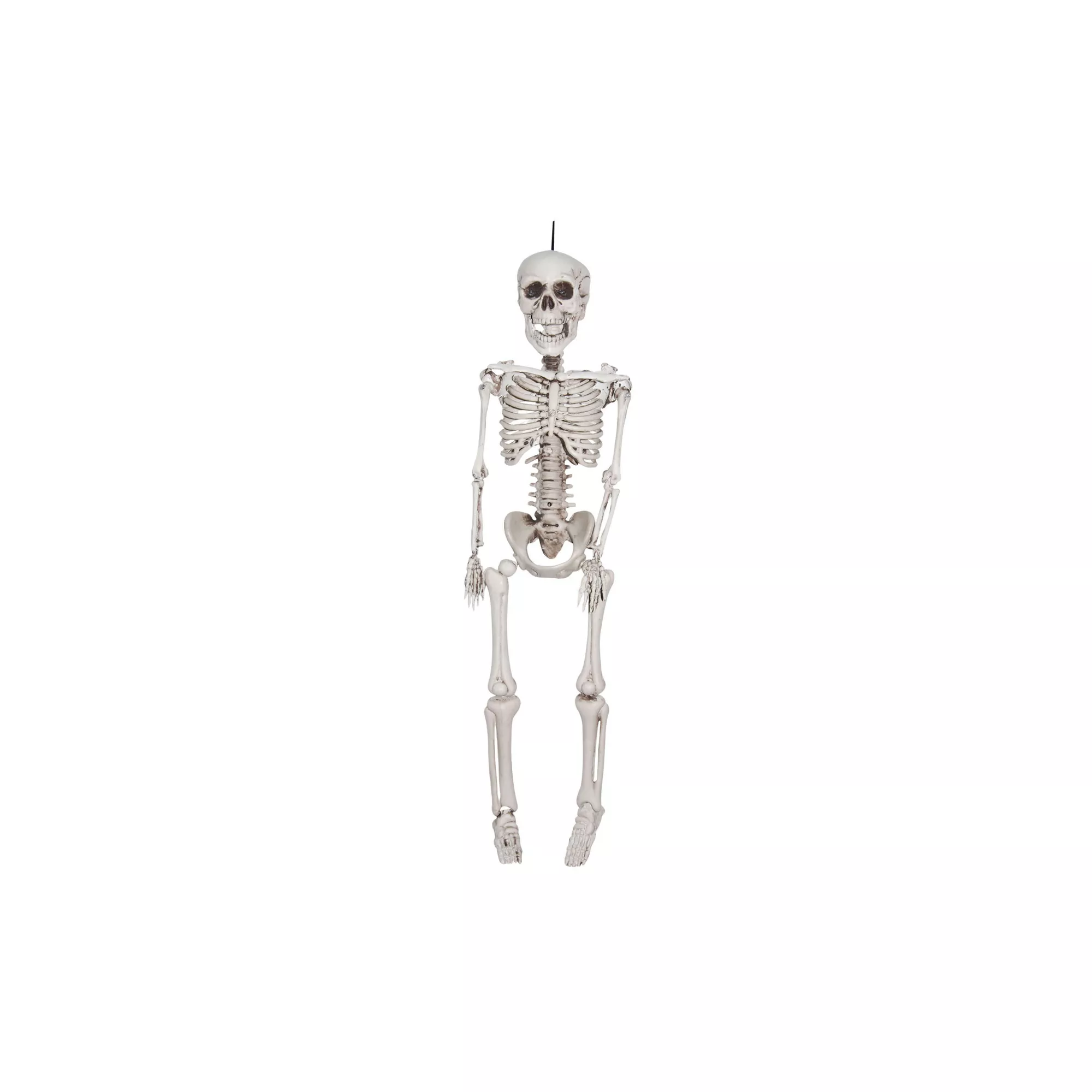 20 In Plastic Skeleton at Spencer's