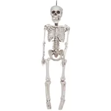 20 In Plastic Skeleton at Spencer's