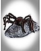 21 Inch Brown Jumping Spider Animatronics - Decorations
