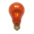 Orange Light Bulb at Spencer's