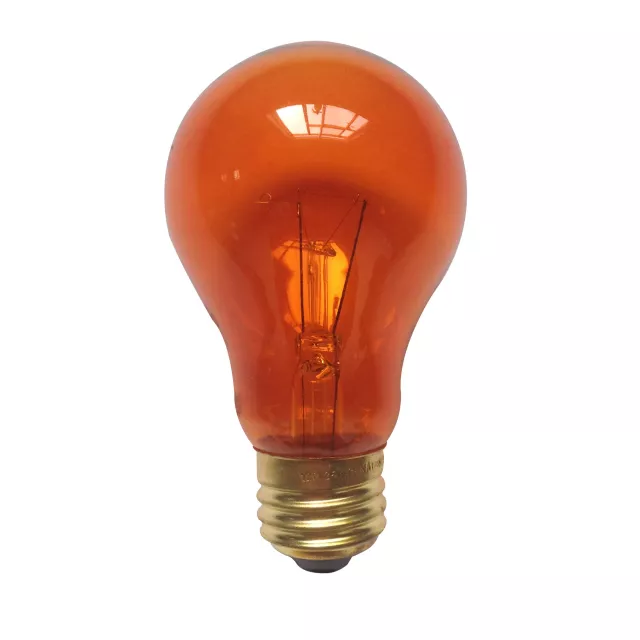 Orange Light Bulb at Spencer's
