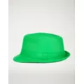 Green Fedora at Spencer's