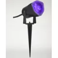 Black Light Strobe Spotlight at Spencer's