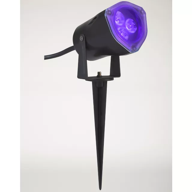 Black Light Strobe Spotlight at Spencer's