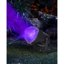 Black Light Strobe Spotlight at Spencer's