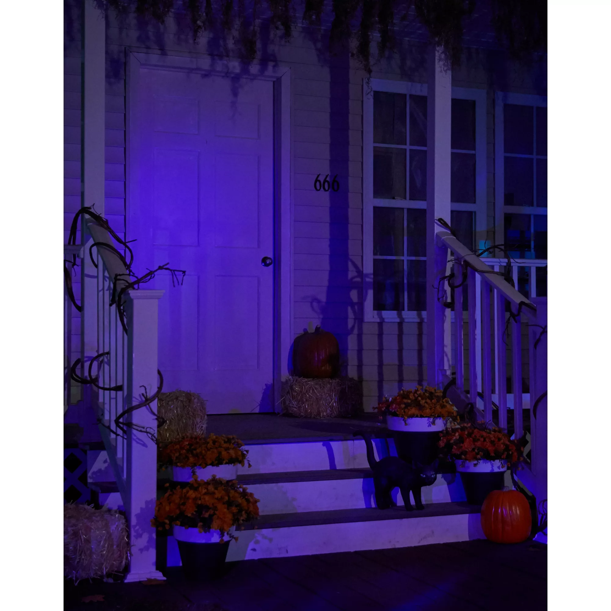 Black Light Strobe Spotlight at Spencer's