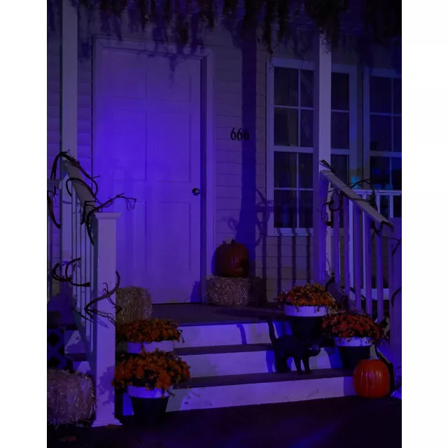 Black Light Strobe Spotlight at Spencer's