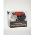 Sugar Skull Salt and Pepper Shakers at Spirit Halloween