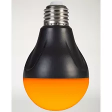 Orange LED Bulb at Spirit Halloween
