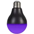 Black Light LED Bulb at Spencer's