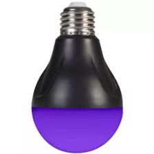 Black Light LED Bulb at Spencer's