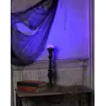 Black Light LED Bulb at Spencer's