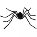 5 Ft Black Spider at Spirit Halloween