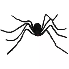 5 Ft Black Spider at Spirit Halloween