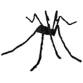 5 Ft Black Spider at Spirit Halloween