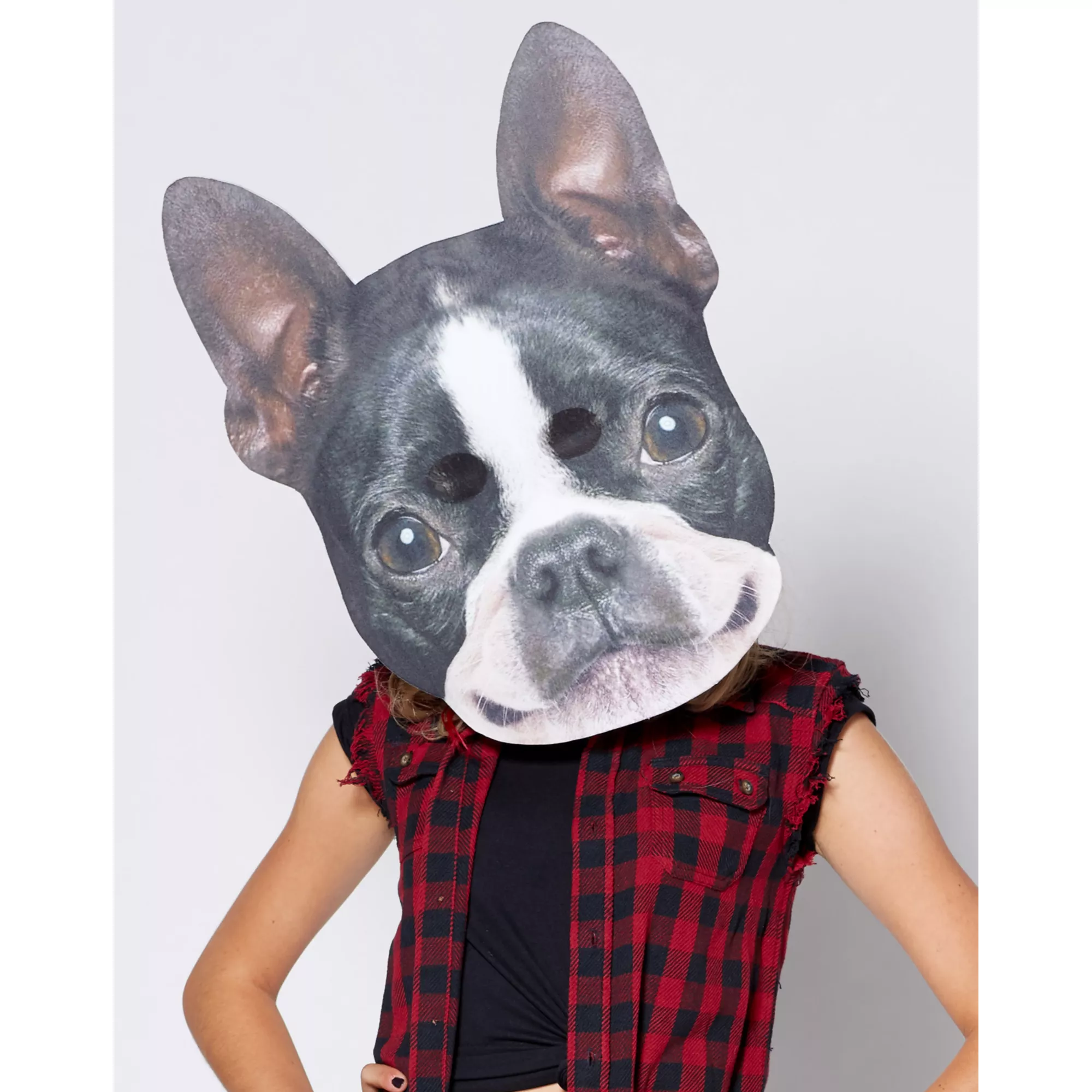 Big Head Foam Dog Half Mask at Spencer's