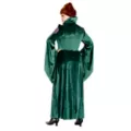 Adult Winifred Sanderson Plus Size Costume - Hocus Pocus at Spirit Halloween