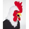 Moving Mouth Rooster Full Mask at Spencer's