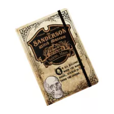 Museum of Witchcraft Journal - Hocus Pocus at Spirit Halloween