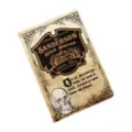Museum of Witchcraft Journal - Hocus Pocus at Spirit Halloween